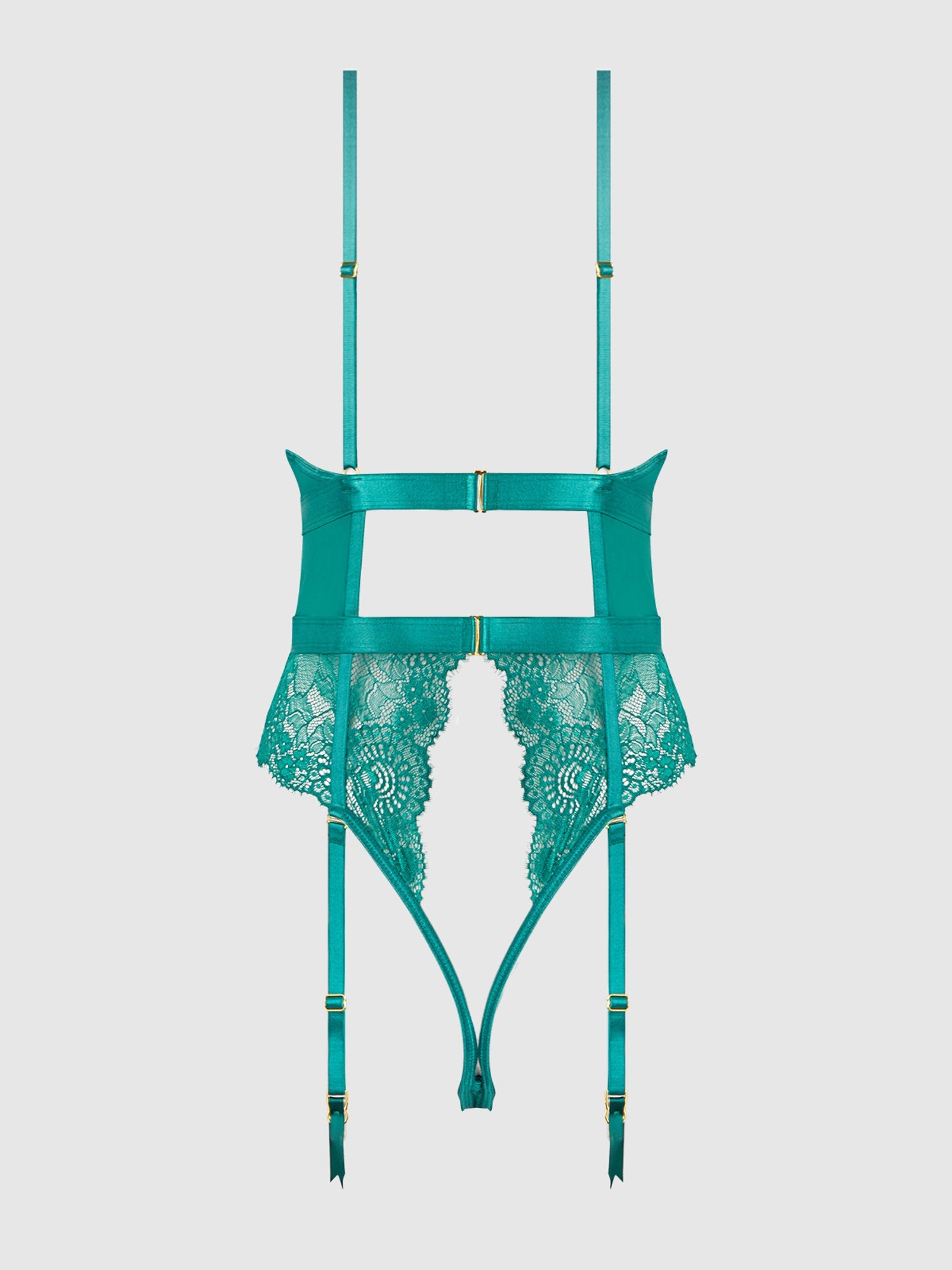 Elegant Reverie Galloon Lace Bodysuit in Green & Black