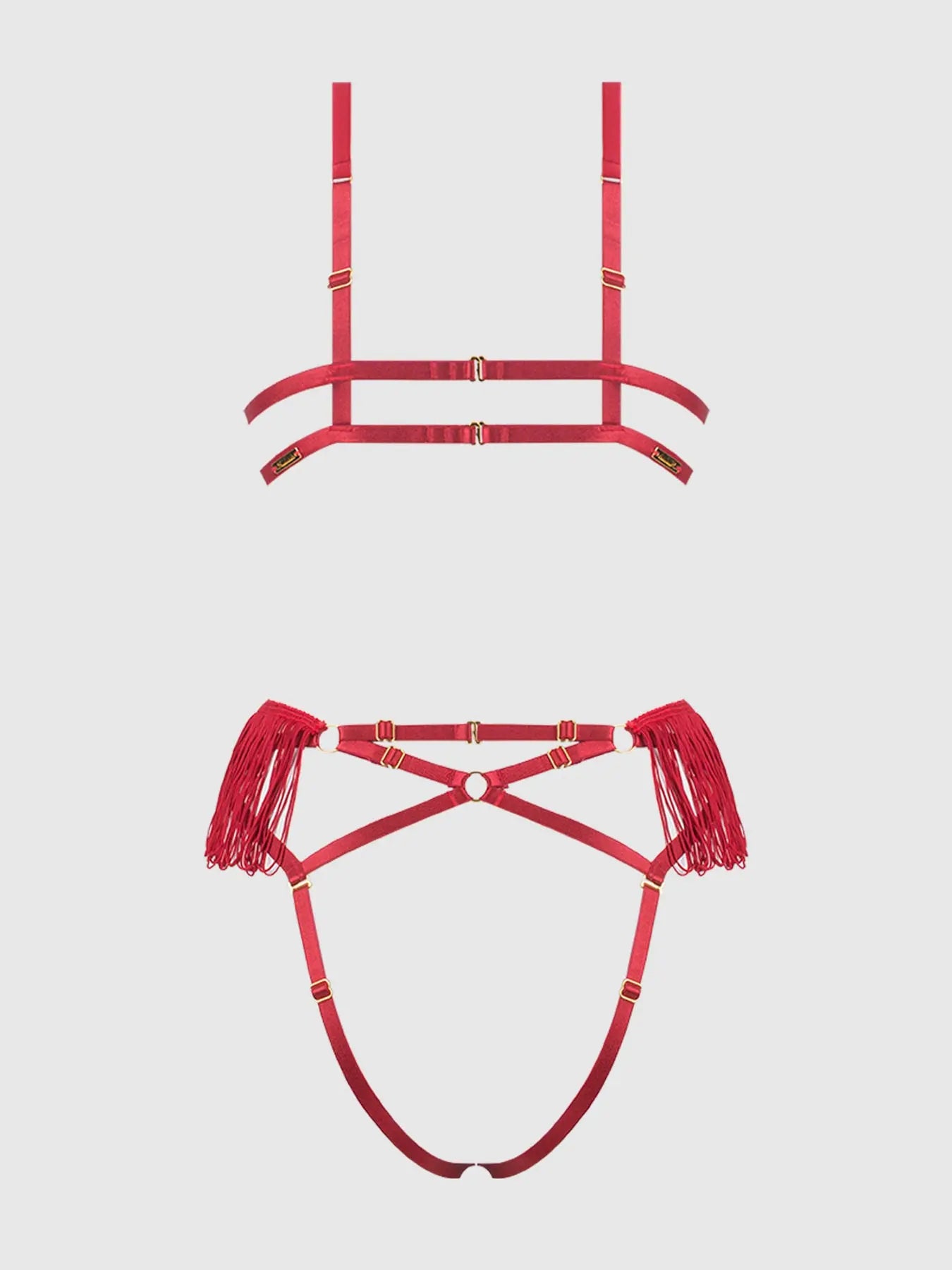 PHOENIX TEDDY : Red Lingerie Teddy