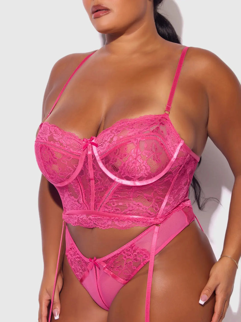 HARLOW LACE & MESH BUSTIER & BACKLESS HIPSTER SET Lingerie HOD