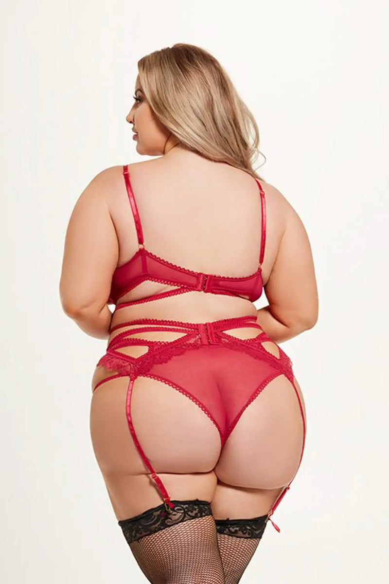 BIANCA 3 PIECE BRA, GARTER & PANTY SET Lingerie HOD   